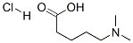 5-(Dimethylamino)-pentanoic acid hydrochloride Structure,25726-28-7Structure