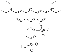 磺酰羅丹明B結(jié)構(gòu)式_2609-88-3結(jié)構(gòu)式