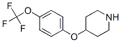 4-[4-(Trifluoromethoxy)phenoxy]piperidine Structure,28033-37-6Structure