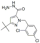 3-(Tert-butyl)-1-(2,4-dichlorobenzyl)-1H-pyrazole-5-carbohydrazide Structure,306937-07-5Structure