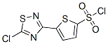 5-(5-Chloro-1,2,4-thiadiazol-3-yl)thiophene-2-sulfonyl chloride Structure,306937-21-3Structure