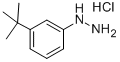 1-[3-(Tert-butyl)phenyl]hydrazinehydrochloride Structure,306937-27-9Structure