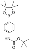 4-(N-Boc-amino)phenylboronic acid pinacol ester Structure,330793-01-6Structure