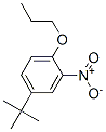 4-tert-Butyl-2-nitrophenyl propyl ether Structure,33353-60-5Structure