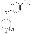 4-(4-Methoxyphenoxy)piperidine hydrochloride Structure,333954-89-5Structure