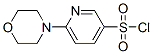 6-Morpholin-4-yl-pyridine-3-sulfonyl chloride Structure,337508-68-6Structure