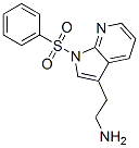 1H-Pyrrolo[2,3-b]pyridine-3-ethanamine, 1-(phenylsulfonyl)- Structure,338731-03-6Structure