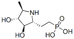 Phosphonic acid, [2-[(2r,3r,4r,5r)-3,4-dihydroxy-5-methyl-2-pyrrolidinyl]ethyl]-(9ci) Structure,339186-29-7Structure