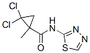 Cyclopropanecarboxamide,2,2-dichloro-1-methyl-n-1,3,4-thiadiazol-2-yl-(9ci) Structure,345314-55-8Structure