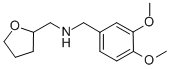 (3,4-Dimethoxy-benzyl)-(tetrahydro-furan-2-yl-methyl)-amine Structure,346704-26-5Structure