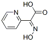 (2E)-(羥基亞胺)(2-吡啶基)乙酸結(jié)構(gòu)式_355023-91-5結(jié)構(gòu)式