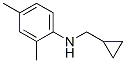 Benzenamine,n-(cyclopropylmethyl)-2,4-dimethyl-(9ci) Structure,356539-40-7Structure