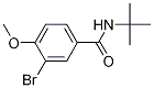 N-t-butyl 3-bromo-4-methoxybenzamide Structure,356550-24-8Structure