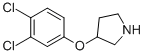 3-(3,4-Dichlorophenoxy)pyrrolidine Structure,356558-49-1Structure