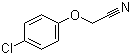 4-Chlorophenoxyacetonitrile Structure,3598-13-8Structure