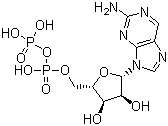 2-Aminopurine ribodylic acid Structure,36475-53-3Structure