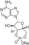 Adenosine 3’,5’-cyclic monophosphate sodium salt hydrate Structure,37839-81-9Structure