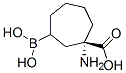 Cycloheptanecarboxylic acid,1-amino-3-borono-,(1s)-(9ci) Structure,379216-52-1Structure