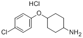 4-(4-Chloro-phenoxy)-cyclohexylamine hydrochloride Structure,380828-77-3Structure