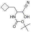 Tert-butyl 1-cyano-3-cyclobutyl-1-hydroxypropan-2-ylcarbamate Structure,394735-20-7Structure