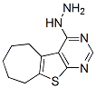 4-Hydrazino-6,7,8,9-tetrahydro-5H-cyclohepta[4,5]thieno[2,3-d]pyrimidine Structure,40106-59-0Structure