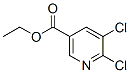 5,6-Dichloronicotinic acid ethyl ester Structure,401566-69-6Structure