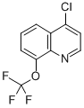 4-Chloro-8-trifluoromethoxyquinoline Structure,40516-42-5Structure