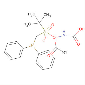 Tert-butyl((diphenylphosphoryl)methyl)sulfonylcarbamate Structure,410529-86-1Structure