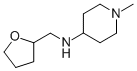 (1-Methyl-piperidin-4-yl)-(tetrahydro-furan-2-yl-methyl)-amine Structure,416869-66-4Structure