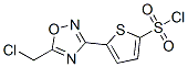 5-[5-(Chloromethyl)-1,2,4-oxadiazol-3-yl]-2-thiophenesulfonyl chloride Structure,423768-39-2Structure