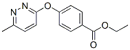 Ethyl 4-[(6-methyl-3-pyridazinyl)oxy]benzoate Structure,423768-61-0Structure