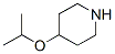 4-異丙氧基哌啶結(jié)構(gòu)式_43139-18-0結(jié)構(gòu)式