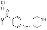 Methyl 4-(piperidin-4-yloxy)benzoate hydrochloride Structure,455323-66-7Structure