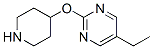 Pyrimidine, 5-ethyl-2-(4-piperidinyloxy)- (9ci) Structure,459819-33-1Structure