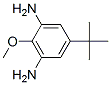 4-Tert-butyl-2 6-diaminoanisole Structure,473269-70-4Structure