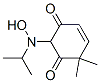 4-Cyclohexene-1,3-dione, 2-[hydroxy(1-methylethyl)amino]-6,6-dimethyl-(9ci) Structure,474942-63-7Structure