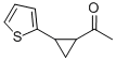 Ethanone,1-[2-(2-thienyl)cyclopropyl]- Structure,478262-59-8Structure