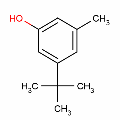 5-叔丁基對(duì)甲酚結(jié)構(gòu)式_4892-31-3結(jié)構(gòu)式