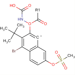 4-Bromo-1-(tert-butoxycarbonylamino)-7-[(methanesulfonyl)oxy]naphthalene Structure,497151-58-3Structure