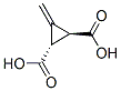 3-Methylenecyclopropane-trans-1,2-dicarboxylic acid Structure,499-02-5Structure