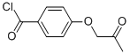 Benzoyl chloride,4-(2-oxopropoxy)-(9ci) Structure,500869-20-5Structure