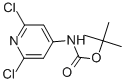 N-Boc-4-Amino-2,6-dichloropyridine Structure,501907-61-5Structure