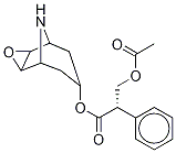 O-乙酰基-(-)-去甲東莨菪堿結(jié)構(gòu)式_5027-68-9結(jié)構(gòu)式