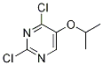 2,4-Dichloro-5-isopropoxypyrimidine Structure,514842-60-5Structure