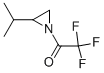 Aziridine,2-(1-methylethyl)-1-(trifluoroacetyl)-,(2s)-(9ci) Structure,516455-10-0Structure