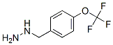 4-三氟甲氧基芐肼結(jié)構(gòu)式_51887-20-8結(jié)構(gòu)式