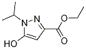 5-Hydroxy-1-isopropyl-1h-pyrazole-3-carboxylic acid ethyl ester Structure,51986-01-7Structure