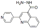 2-Pyridin-4-yl-quinoline-4-carboxylic acid hydrazide Structure,5206-34-8Structure