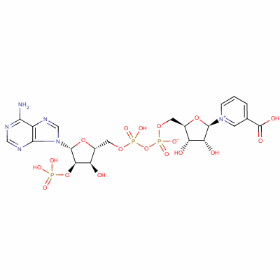 Nicotinic acid adenine dinucleotide phosphate Structure,5502-96-5Structure