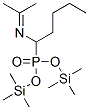 [1-(Isopropylideneamino)pentyl ]phosphonic acid bis(trimethylsilyl) ester Structure,55108-67-3Structure